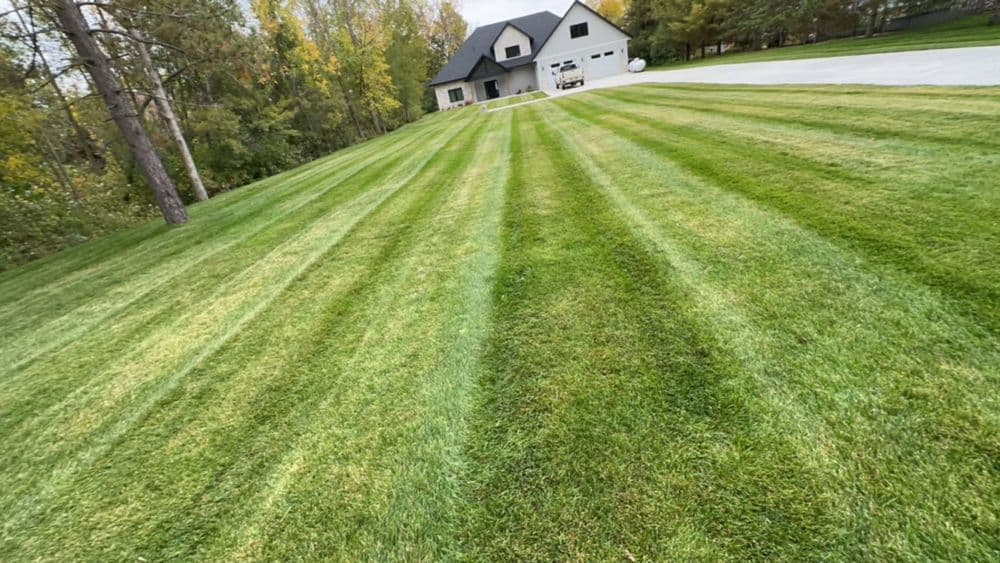 Lush green lawn with neatly mowed stripes in front of a modern house surrounded by trees.