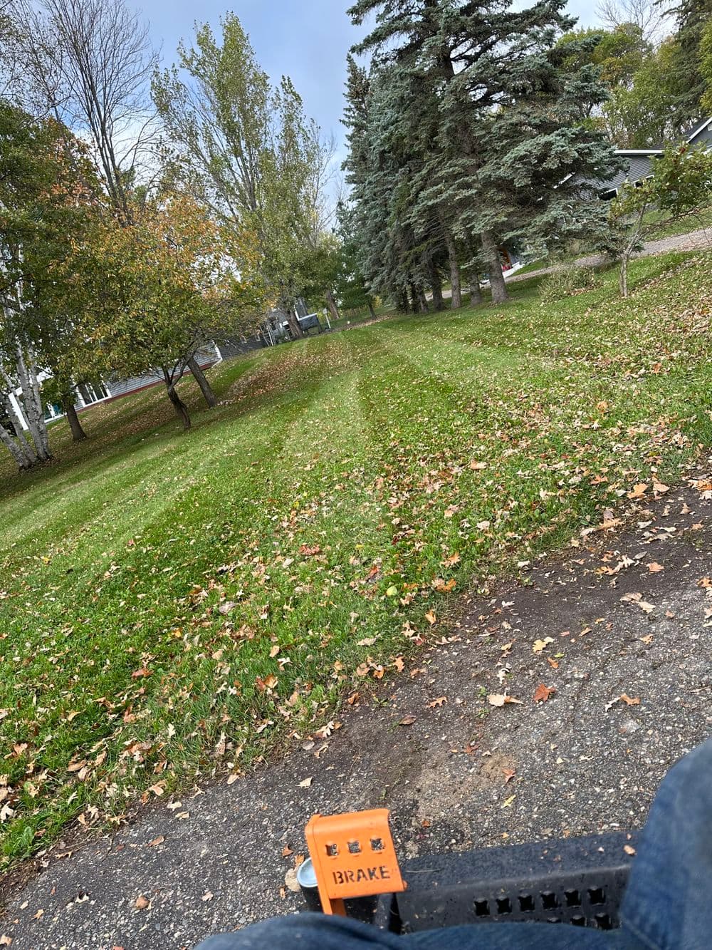 Lawn care scene showing freshly mowed grass with autumn leaves, captured from a riding mower.