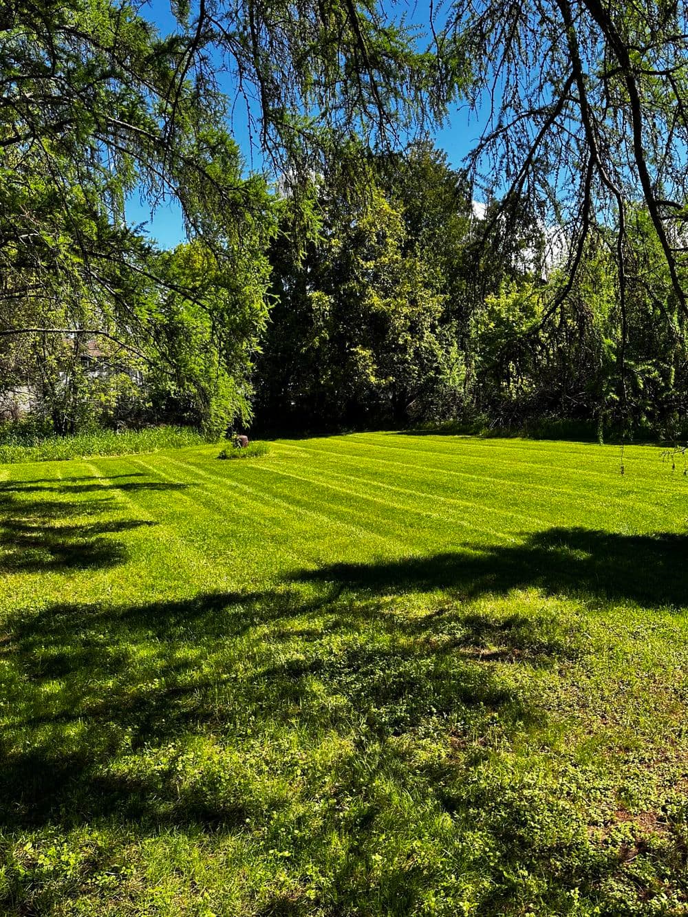 Lush green lawn with striped patterns, surrounded by trees and sunlight. Ideal for relaxation.