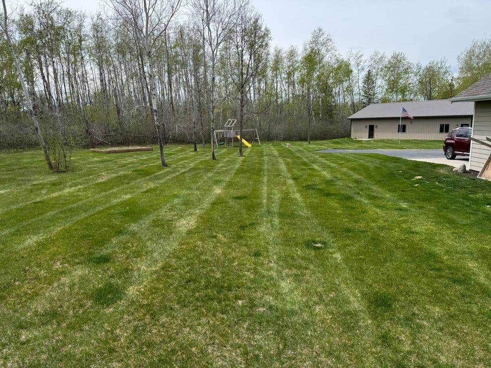 Lush green lawn with stripes, playground set, and trees in the background on a clear day.