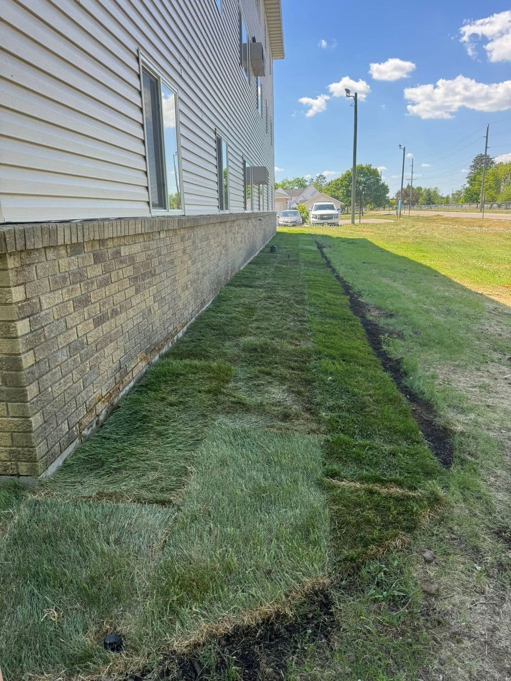 Freshly installed sod along a building's foundation with clear blue skies and green lawn.