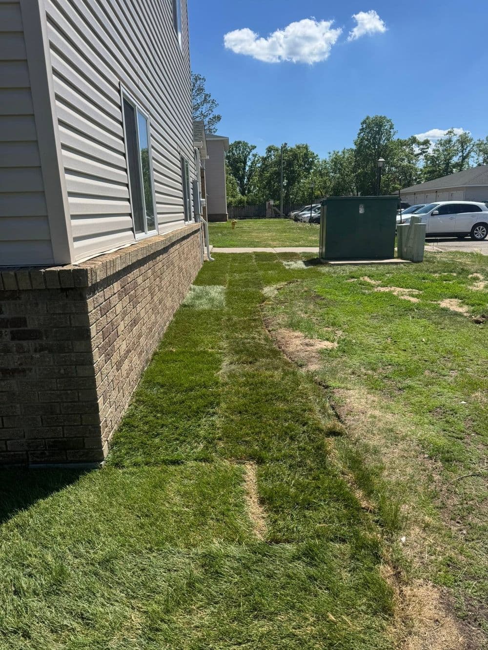 Newly installed sod along the side of a building with clear blue skies.