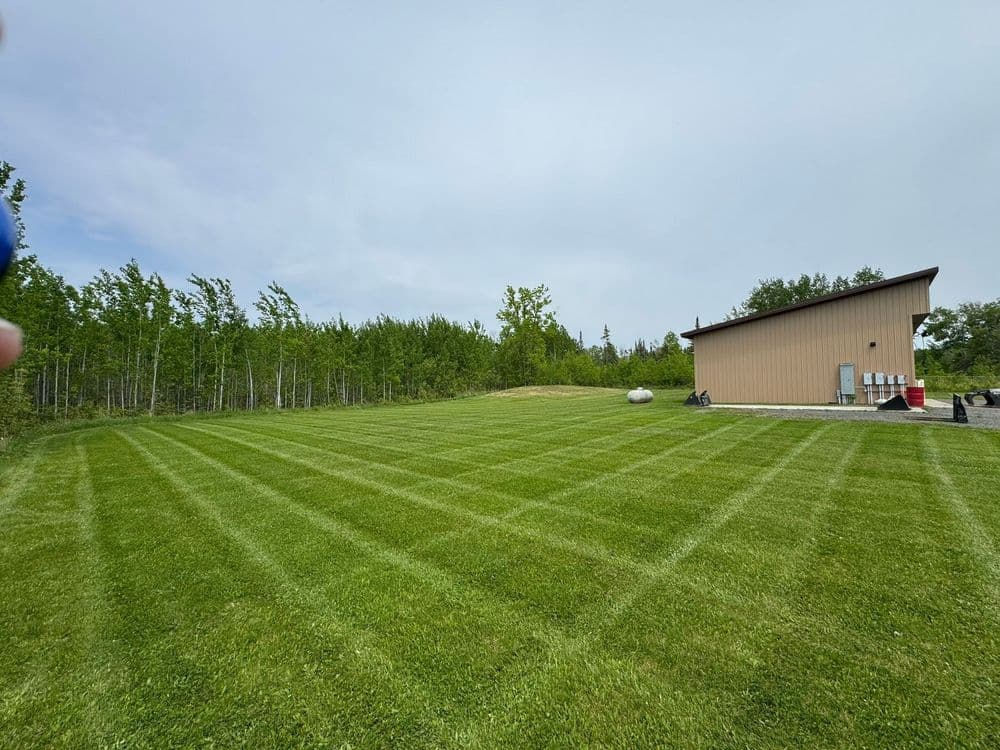 Lawn with freshly mowed stripes beside a storage building and surrounding trees.