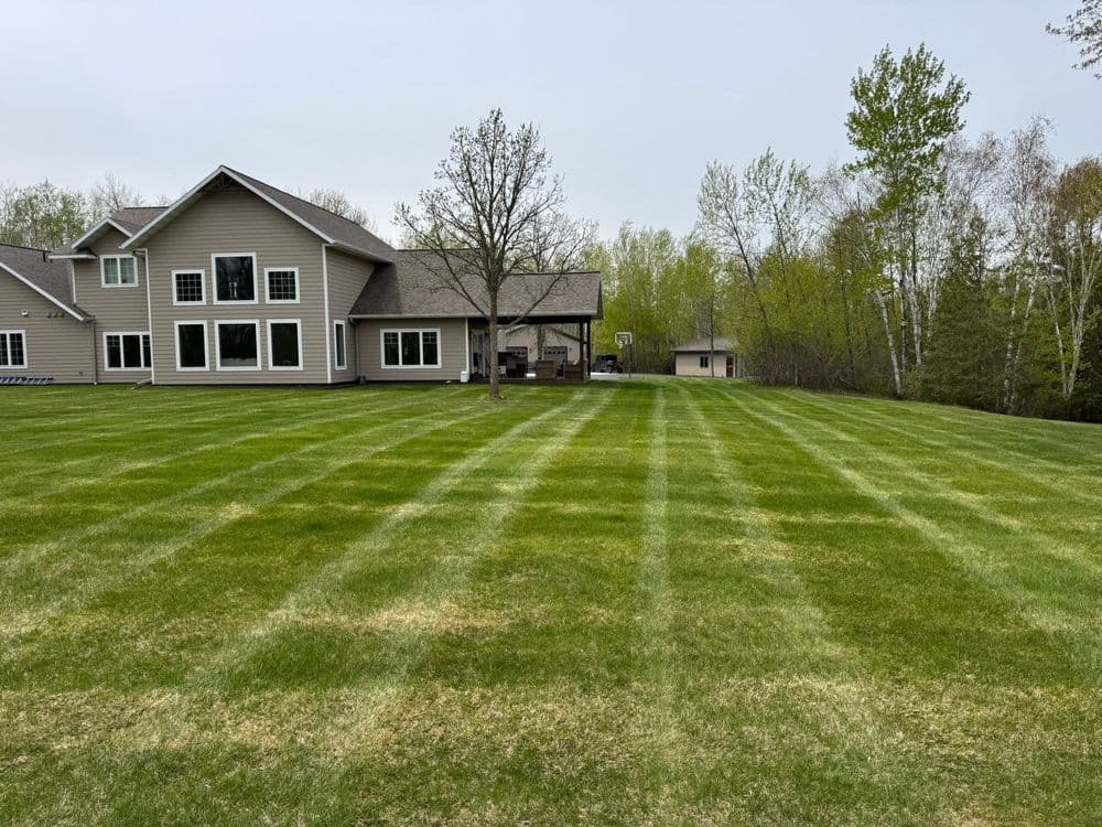 Lush green lawn with striped grass pattern and residential home in background.